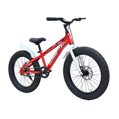 CRADIAC - Scrappy 20 Inch Kids Cycle for Boys & Girls | Cycle for 5 to 8 Years | 20T Bicycle for Beginner Kids Bike with Comfortable Seat & DISC Brake | Cycle for Girls & Boys